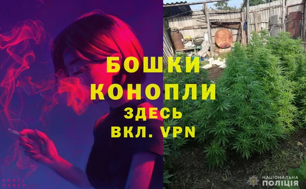 гашиш Белокуриха