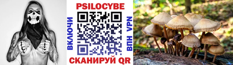 Псилоцибиновые грибы Magic Shrooms  Михайлов 